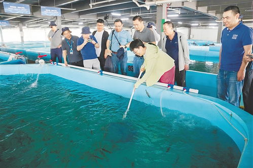 儋州举行水产品产销企业面对面交流会，推动水产品养殖提质增效