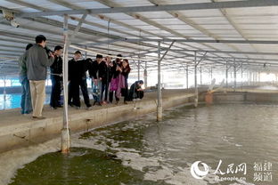 强化水产品养殖监管 守护“两节”餐桌安全——福建开展专项执法行动