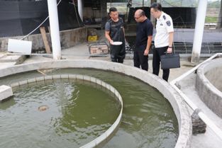筑牢安全防线，守护舌尖安全 台山市海洋与渔业局开展“五一”节前水产品养殖企业执法巡查工作