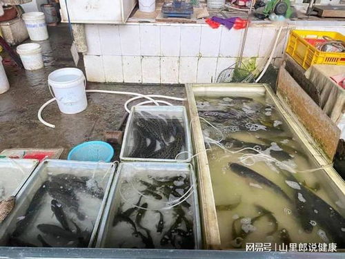 慎防孔雀石绿 水产品中的隐形毒源及其危害