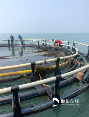富瀚海洋 | 质量溯源 孕育水产品行业发展的澎湃动能
