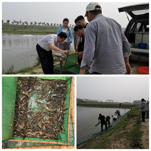 切实保障新型肺炎防控期间的水产品供应