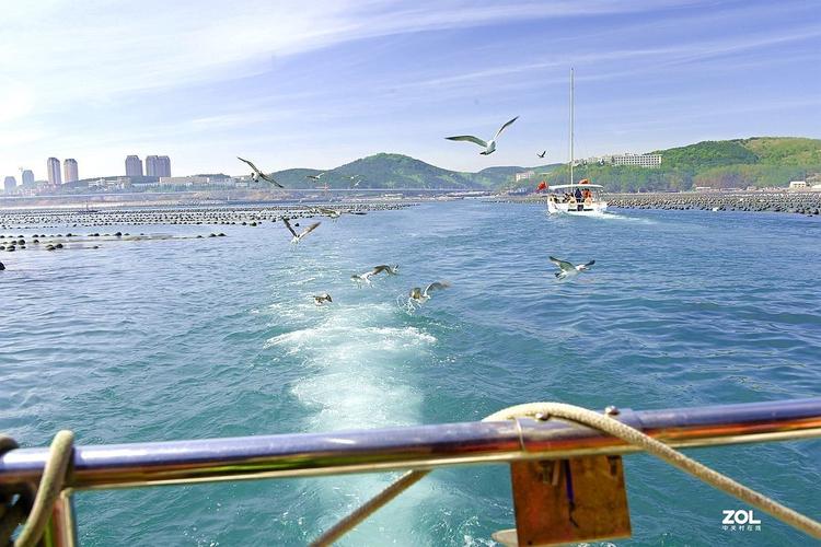 慢游东三省三120大连旅顺区水产品养殖场拍海鸥